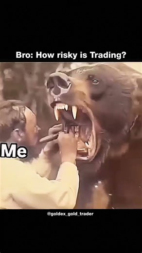 Bro: How risky is Trading?