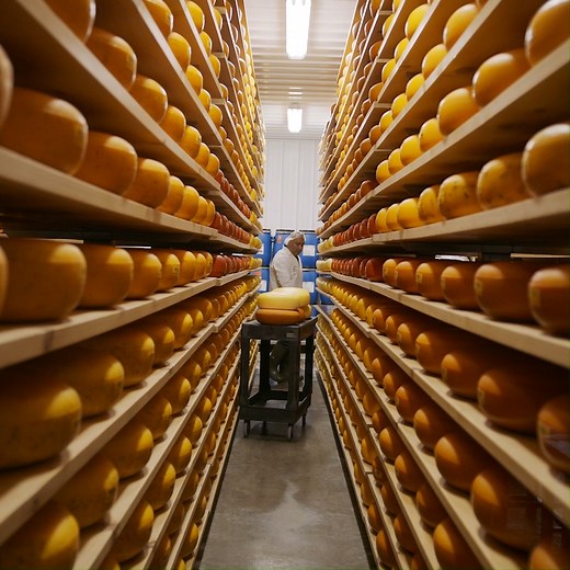 2.3K views · 68 reactions | We don’t just live up to our name of Proudly Wisconsin Cheese, we make it our lifestyle. By combining old-world cheesemaking traditions with our drive for innovation, it’s no wonder that we’ve crafted over 600 different cheeses for the proud distinction as #TheStateOfCheese. | Wisconsin Cheese | Facebook
