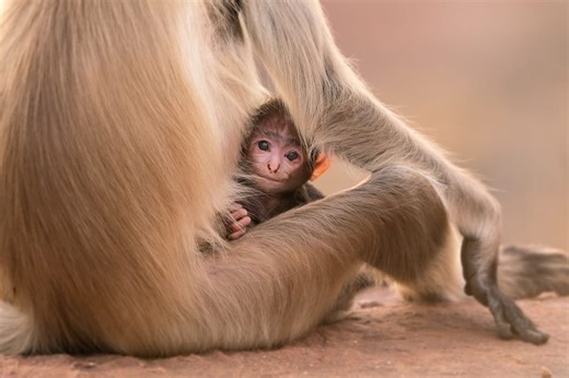 The stunning locations Parenthood filmed at around the world