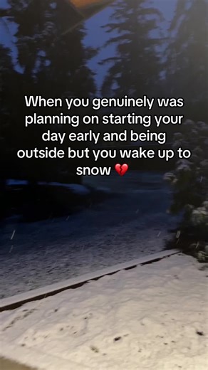 Struggling with Snowy Weather in Seattle