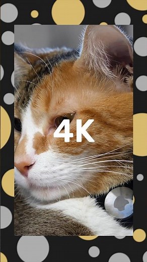 Mejora la Calidad de tu Video en Simples Pasos I Aumenta la Resolución Hasta 8K