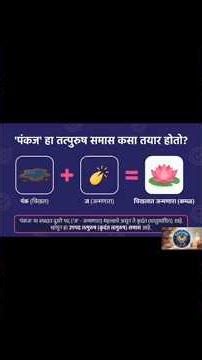 समास ओळखा 🔥 | Talathi PYQ Marathi Grammar #shorts