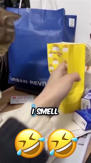 #funny #voiceover #talking #pet #fyp | Pet Voice Over