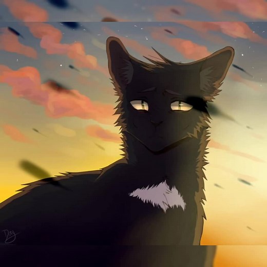 Just finished Ravenpaws farewell and it had me crying #warriorcatstiktok #warriors #fyp #ravenpawwarriorcats #ravenpawwarriorcats #ravenpawwarriors #ravenpawsdeath