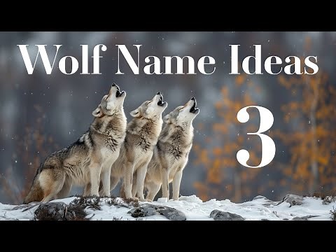 Wolf Name Ideas 3