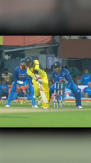 Msd 🦁💥