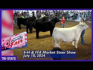 4-H & FFA Market Steer Show - Lawrence County Fair Ohio