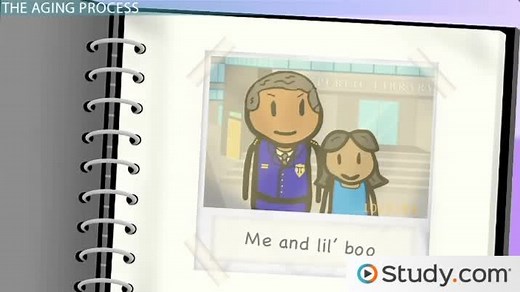 Variables Involved in the Aging Process