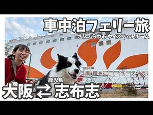 [Sunflower with Pet] Comfortable car camping ferry trip [Osaka to Shibushi, Kagoshima]