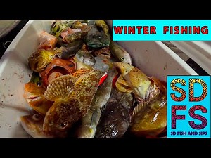 Winter Rockfish Fishing Coronado Islands | Sculpin, Lingcod & Vermillion + Steamed Fish Recipe SDFS