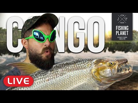 Fishing Africa! THE CONGO! (Goliath Tiger Fish & Nile Perch!) l Fishing Planet [LIVE]