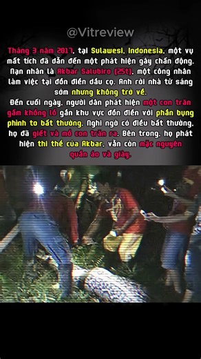 phát hiện gây sốc trong bụng trăn gấm khổng lồ...