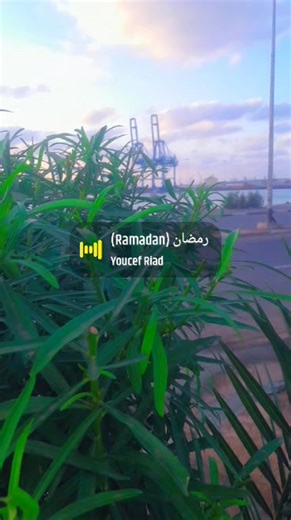 Moussa Ahmed (@moussaahmednour)’s videos with original sound - Moussa Ahmed