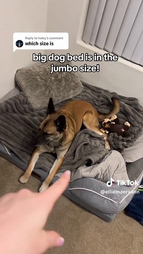 Jumbo Dog Bed for Ultimate Comfort
