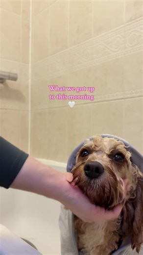 Already rolled in poo… Minnie not me