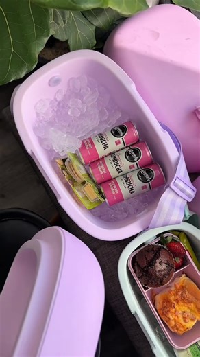 Your drinks? Ice cold. Your style? On point. Your secret? This #KmartFind 😉 Shop our Retro Cooler available in 3 sizes and colours! Thanks for the find @rachjordan! | Kmart Australia