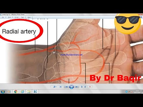 Radial artery anatomy 3D Easy to Remember