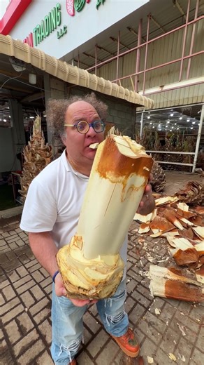 Exploring the Incredible Palm Tree Cheese at Fujairah Market