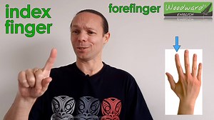 6.6K views · 126 reactions | INDEX FINGER - Meaning and Example Sentence English Word of the Day: index finger (noun): The first finger next to your thumb. It is sometimes called the forefinger. English Word of the Day Example: The children had to raise their index finger into the air before they could speak in class. #IndexFinger #Hand #WordOfTheDay #WOTD #LearnEnglish | Woodward English | Facebook
