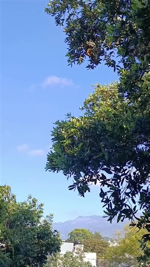 Videos de BAAP... (@soy_bart_1) con “sonido original - ArrebatoCdFansOficial”