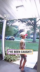 194K views · 2.8K reactions | Wait till you hear who put him up to it ️藍 | GOODLAD | Facebook