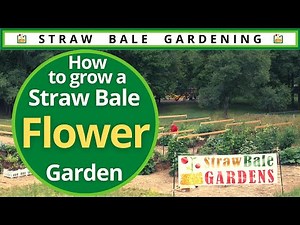 How to Grow a Straw Bale FLOWER Garden