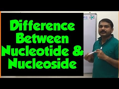 Difference between Nucleoside and Nucleotide