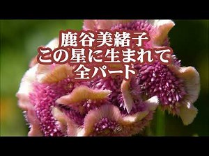 鹿谷美緒子 この星に生まれて 全パート 「MY SONGマイソング」より