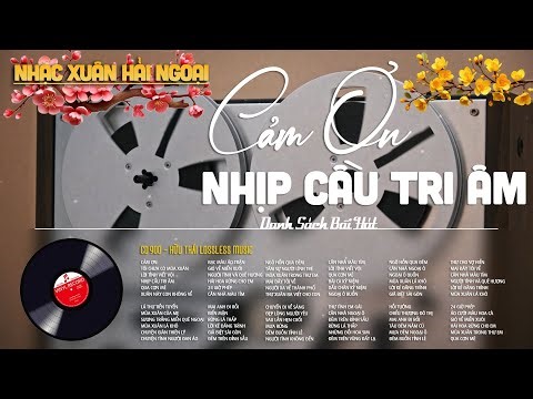 [CD900] Mở Nhẹ Nhàng Lk Nhạc Vàng Hải Ngoại Xưa Bất Hủ Còn Mãi Theo Thời Gian| Hữu Thái Lossless