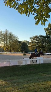 1.8K views · 74 reactions | An absolutely stunning morning at the Thoroughbred Makeover!  Retired Racehorse Project | Thoroughbred Aftercare Alliance | Facebook