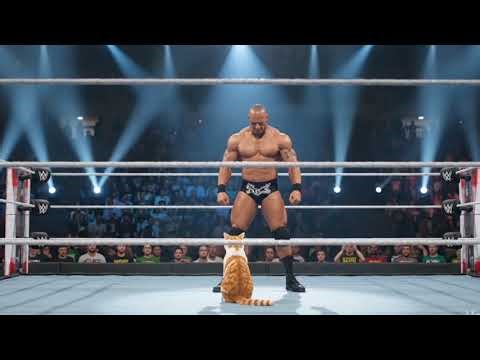 The Unexpected Champion 🥊 | Tiny Cat Knocks Out Undefeated Boxer