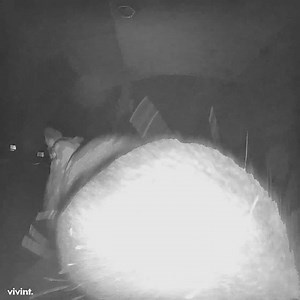 For the moments you find amoosing, save and share them effortlessly with the Vivint app. 😁👋 | Vivint