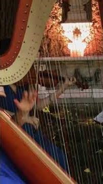 Harp and violin