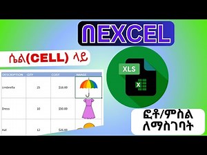 ምስል በEXCEL | ለማስገባት How to Insert Picture Automatically in Excel Cell
