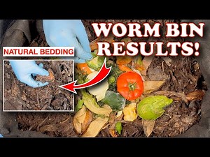 Surprising Results! Natural Bedding TRANSFORMS My Outdoor Worm Bin