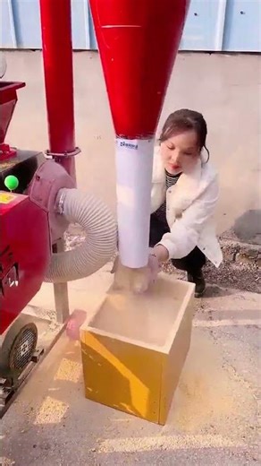 Multifunctional Chaff Cutter in Action – Corn Crushing Demo