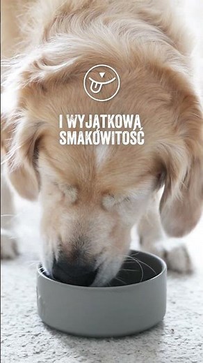 Monoproteinowa karma mokra dla psa RAW PALEO - nowe smaki (jagnięcina, kangur, jeleń) #dogfood