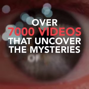 604 reactions · 73 shares | Transform your world from the inside out with inspiring films and documentaries. | Gaia | Facebook