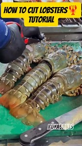 27K views · 407 reactions | Tutorial how to cut the body of Lobsters 咽咽咽 #lobster #fishing #fishinglife | James Pelarios | Facebook