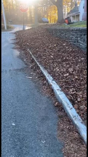 Fall clean up | Goodscapes Lawn Care & Landscaping