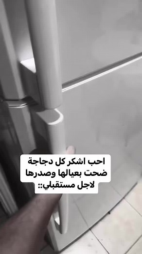 Exploring a Modern Refrigerator's Fresh Food Storage