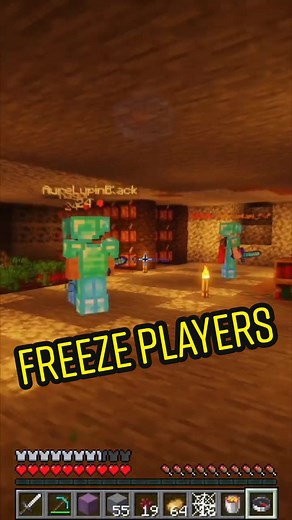 you can now freeze players 😈 #tutorial #minecraft #commands #minecraftbuilding #java