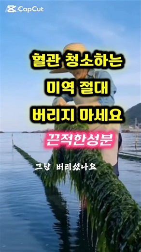 미역의 '끈적한 성분' 절대 버리지 마세요! 혈관 청소하는 우유보다 칼슘이 많다 중년 건강 지키는 미역의 놀라운 효능