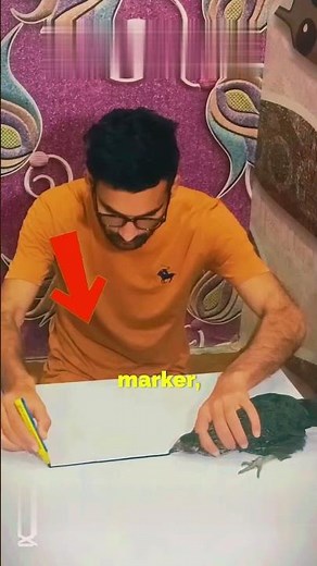 This Line Can Hypnotize a Chicken — Here’s How!