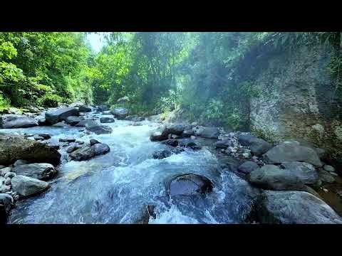 Full Night Calm with Big River Sounds - River ASMR Peaceful River View for Relaxed Rest & Focused