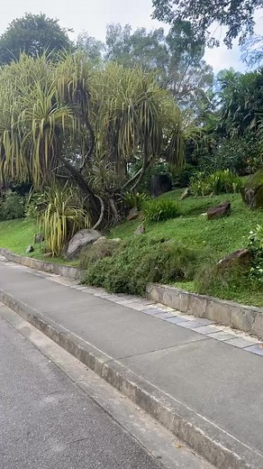 1.5K views · 12 reactions | Exploration du Menara Museum à Kuala Lumpur, entouré d'un parc de 200 hectares, luxuriant avec des arbres, des pelouses verdoyantes et des fleurs épanouies. Une journée magnifique à découvrir l'histoire et la nature. ️ #MenaraMuseum #KualaLumpur #NatureEtCulture | Home In Tunisia | Facebook
