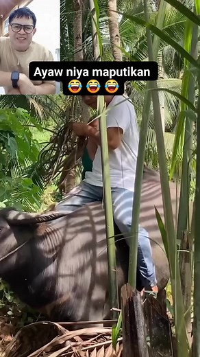 256 reactions · 16 shares | Ate dapat hindi Kana sumakay hahahaha #fypreelsシ゚viralシ #funnyvideos #fuunyreel | MJ Mark Janus | Facebook