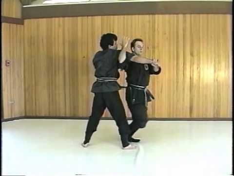 Combat Ninjutsu with Richard Van Donk and Ken Balanon