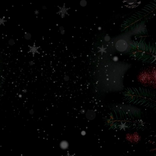 26K views · 287 reactions | Make memories at our Old Time Appalachian Christmas Festival is December 13th - 11am-5pm. Downtown Galax! Live Music, food, artisan crafts, heritage demonstrations, Santa, magician, storytelling, holiday characters and tons of fun! #MountainMadeGalax | Galax City Tourism Center | Facebook