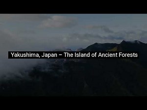 Yakushima, Japan – The Island of Ancient Forests